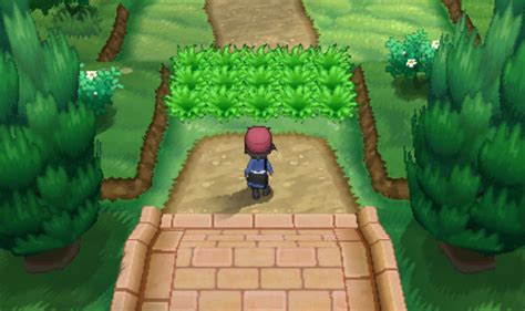 Pokémon X and Y Walk Through Walls .